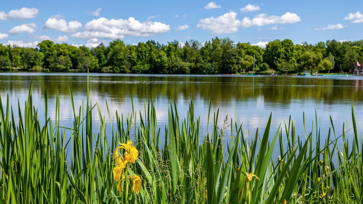 Bad Waldsee Apartment | Modern, high-quality vacation apartment 'Am Stadtsee' with lake view, small private garden + Wi-fi