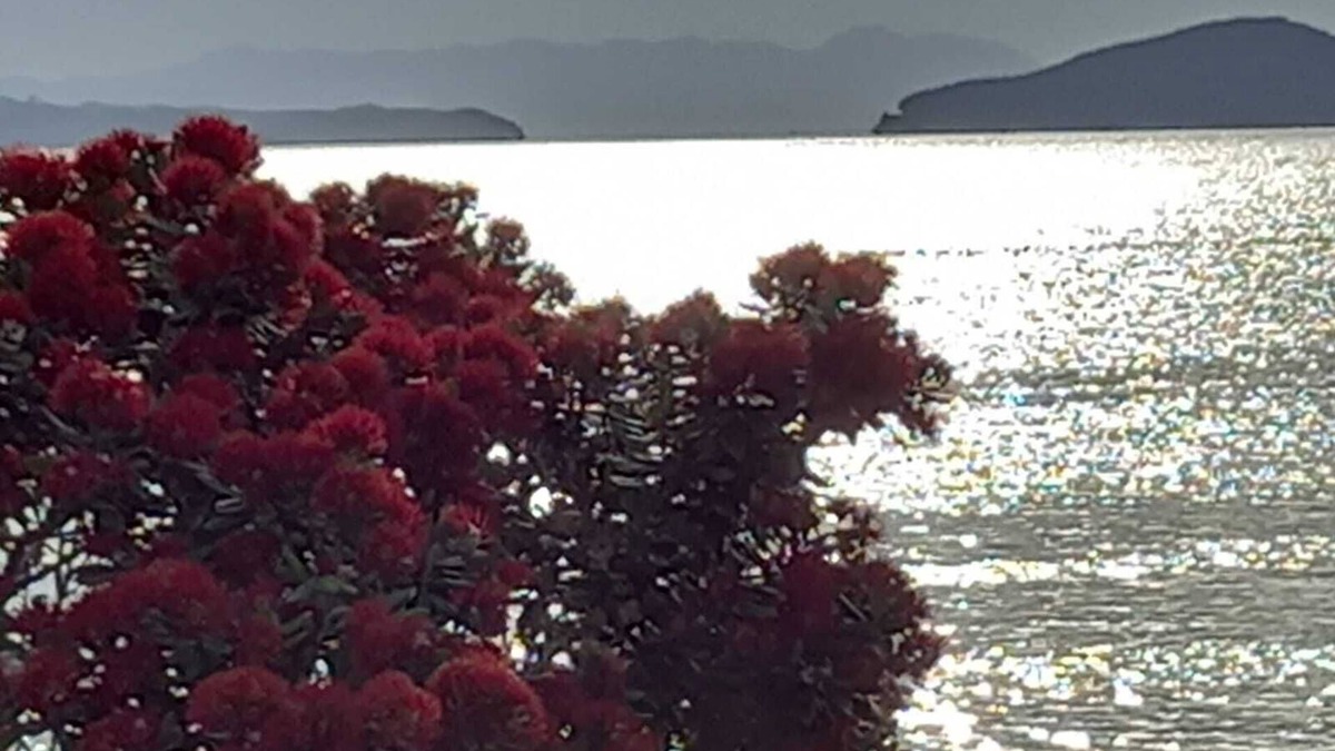 Maraetai House | Modern home 5 minutes to the beach, surrounded by native bush
