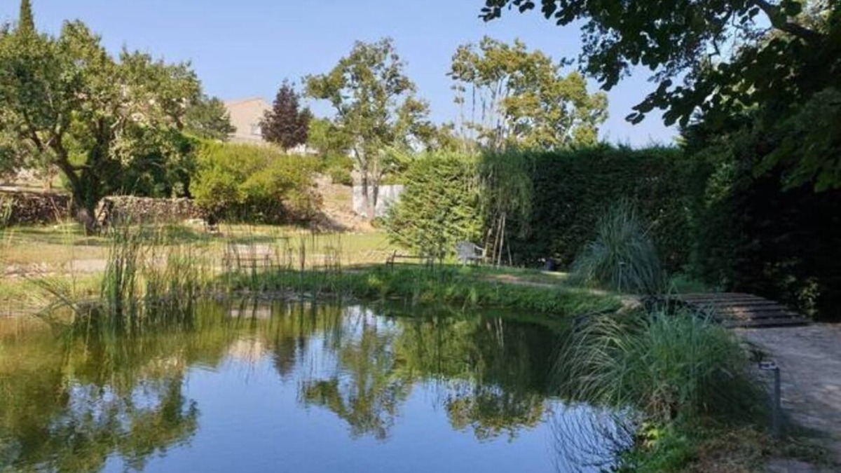 Greasque House | Modern house on large wooded plot in a quiet location