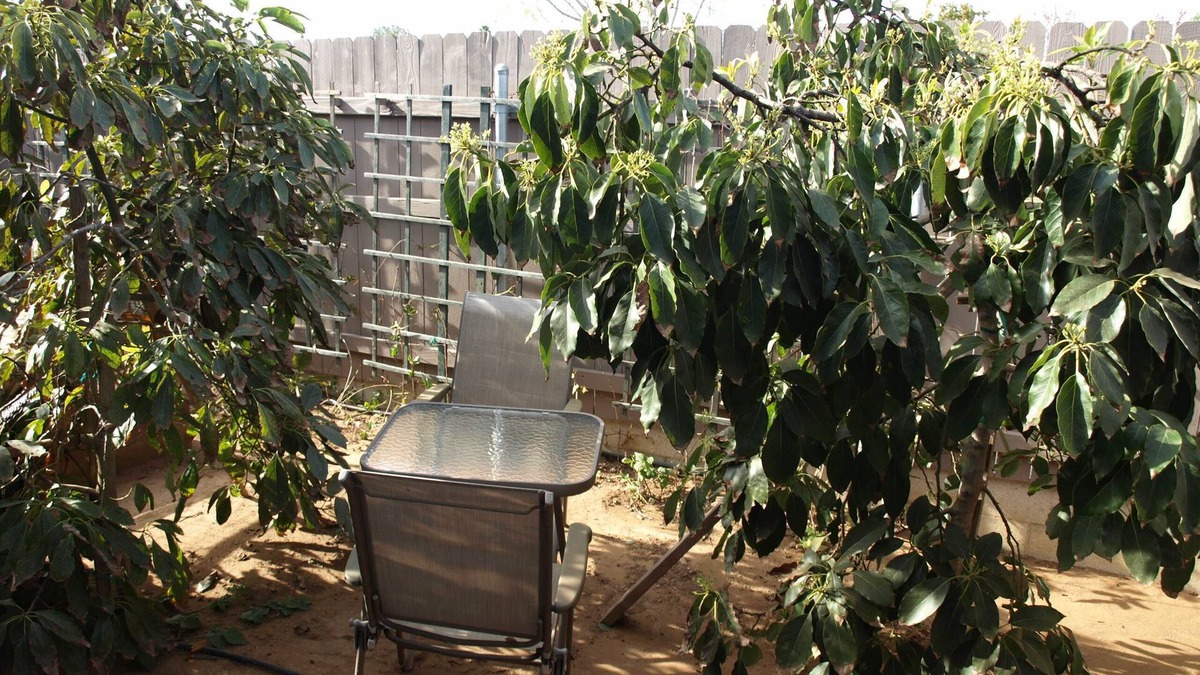 Clairemont Mesa West House | Modern Luxury Guest House- Near Beaches, Bay, UCSD, Hospitals!