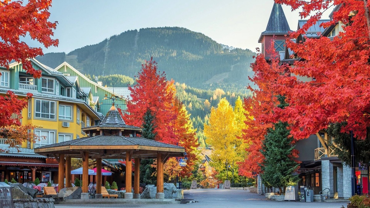 Upper Village Condo | Modern-Ski-In-Out 4Couples | 3HotTubs + Netflix | SuiteLifeOriginal | The Aspens