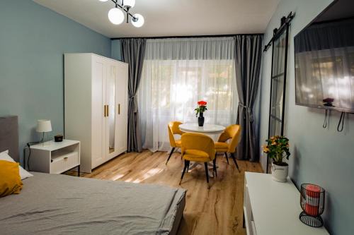Zalau Apartment | Modern studio D-va N