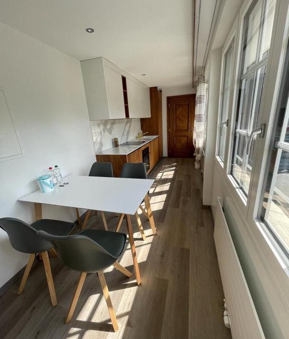 Altdorf Apartment | Moderne einzigartige Wohnung in Altdorf