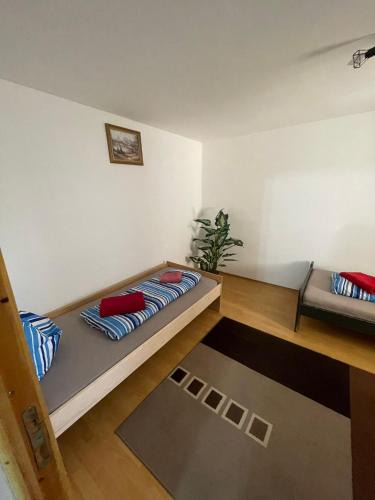 Medias Apartment | Modesta