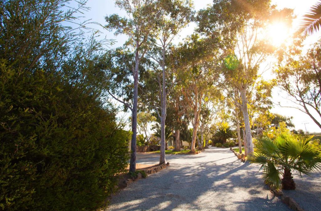 Tumby Bay Apartment | Modra's Apartments