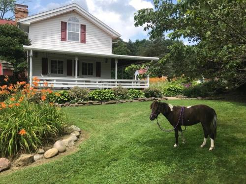 Perrysville House | Mohican Farmhouse, Pond, and Animals