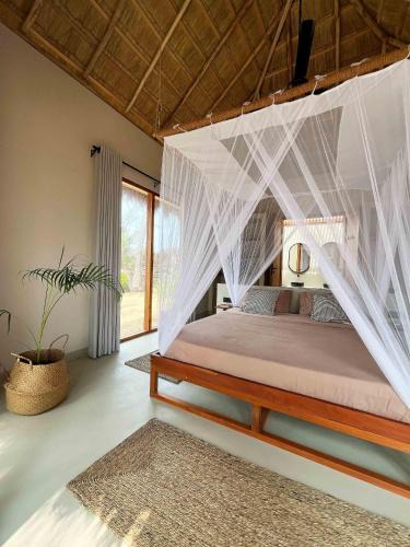 Talawila Bed & Breakfast | Mojo
