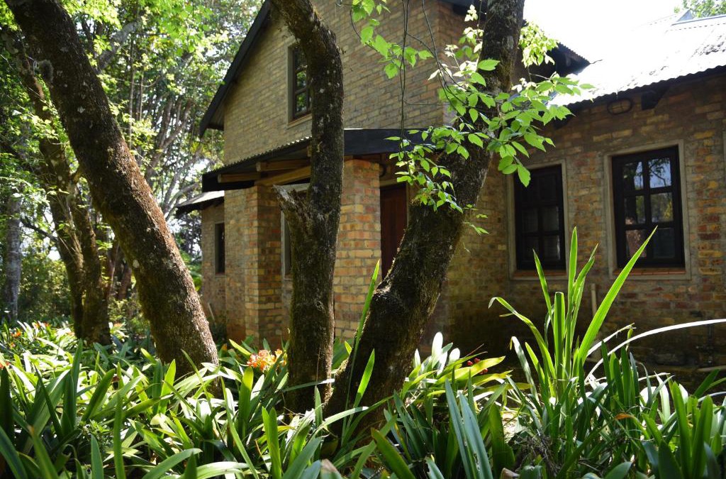 Graskop House | Molly's Cottage
