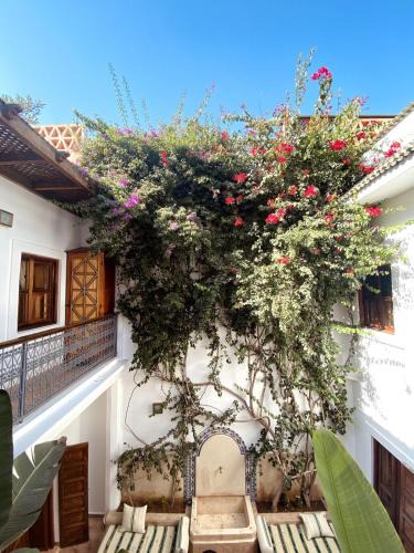 Riad Zitoun Jdid House | Momo House- Riad Momo