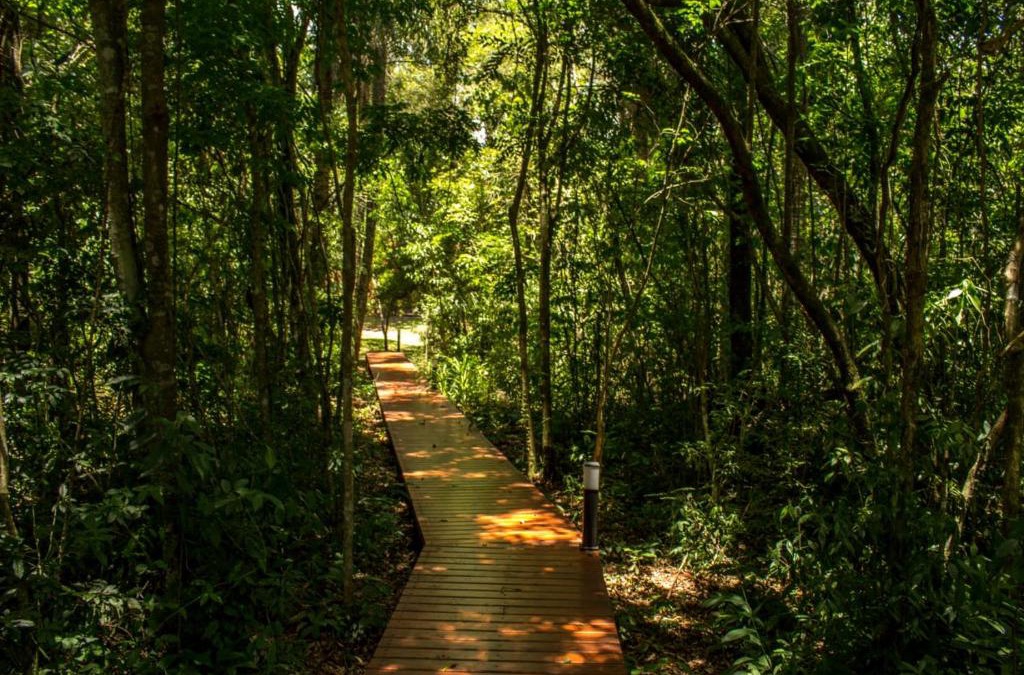 Santa Ana Resort | Momora distrito selva