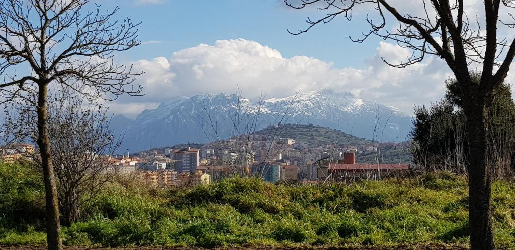 Nuoro Apartment | Monolocale indipendente con giardino