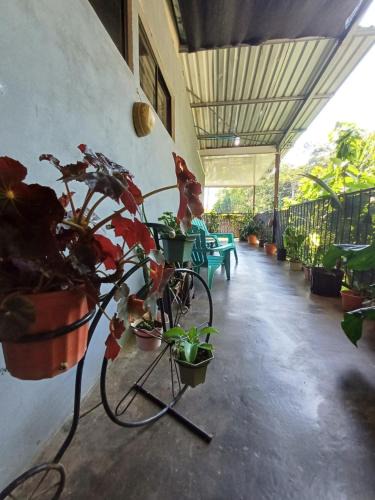 Manuel Antonio Apartment | Monos Titi Third Floor