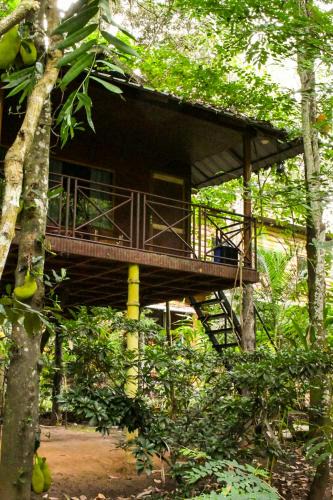 Pirmed Cabin | Monsoon Retreats Treehouse