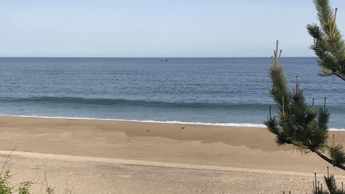 Montauk Apartment | Montauk Hither Hills Walk to Beach