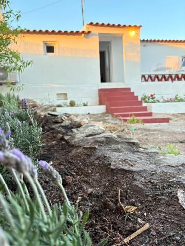 Borba House | Monte da Rocha-Mãe