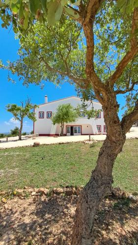Baiona House | Monte da Silveira