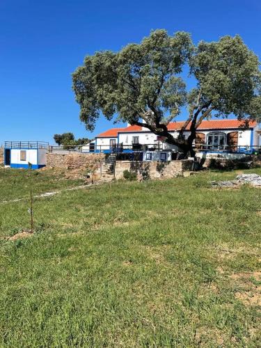 Borba House | Monte do Zambujeiro