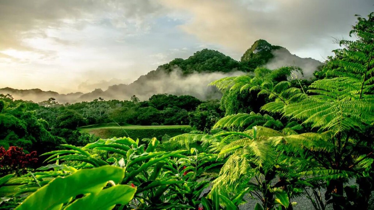 Utuado Cabin | Monte Sagrado Reserve-100 acres+wellness+River!