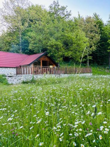 Cetinje Ski Chalet | Montenegro Rustic House II