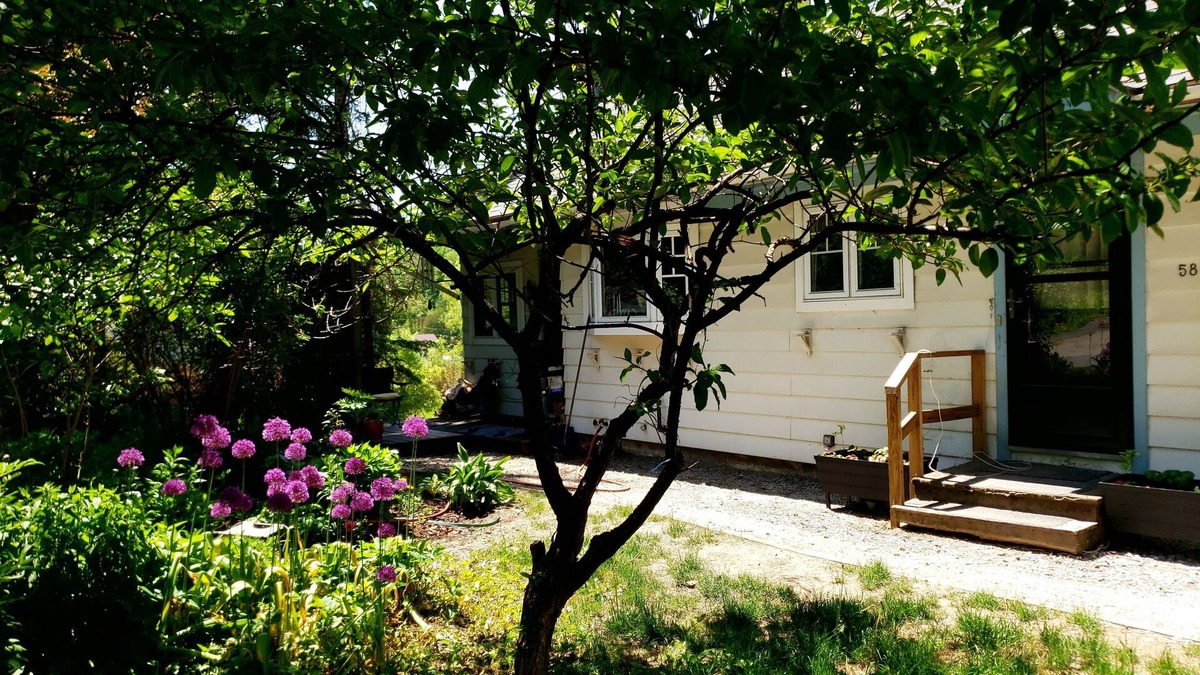 Montpelier House | Montpelier 3 bedroom house located on Terrace St a 5 min walk to downtown.