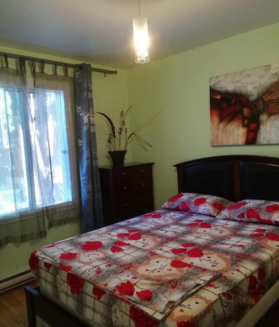 Hochelaga Apartment | Montreal Authentic appartment