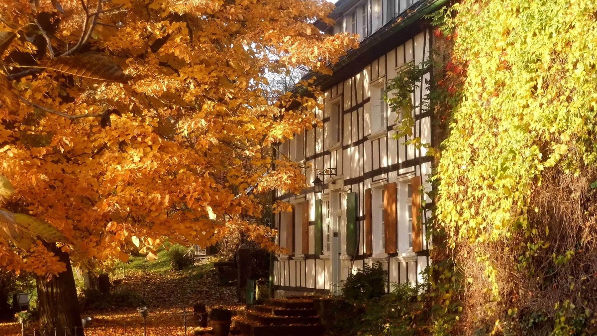 Hattingen Apartment | Monumental Ökohofanlage