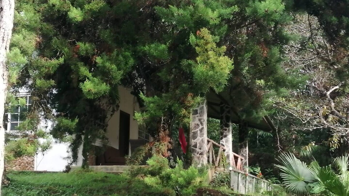 Juan Diaz House | Moon House River Dreams Cerro Azul