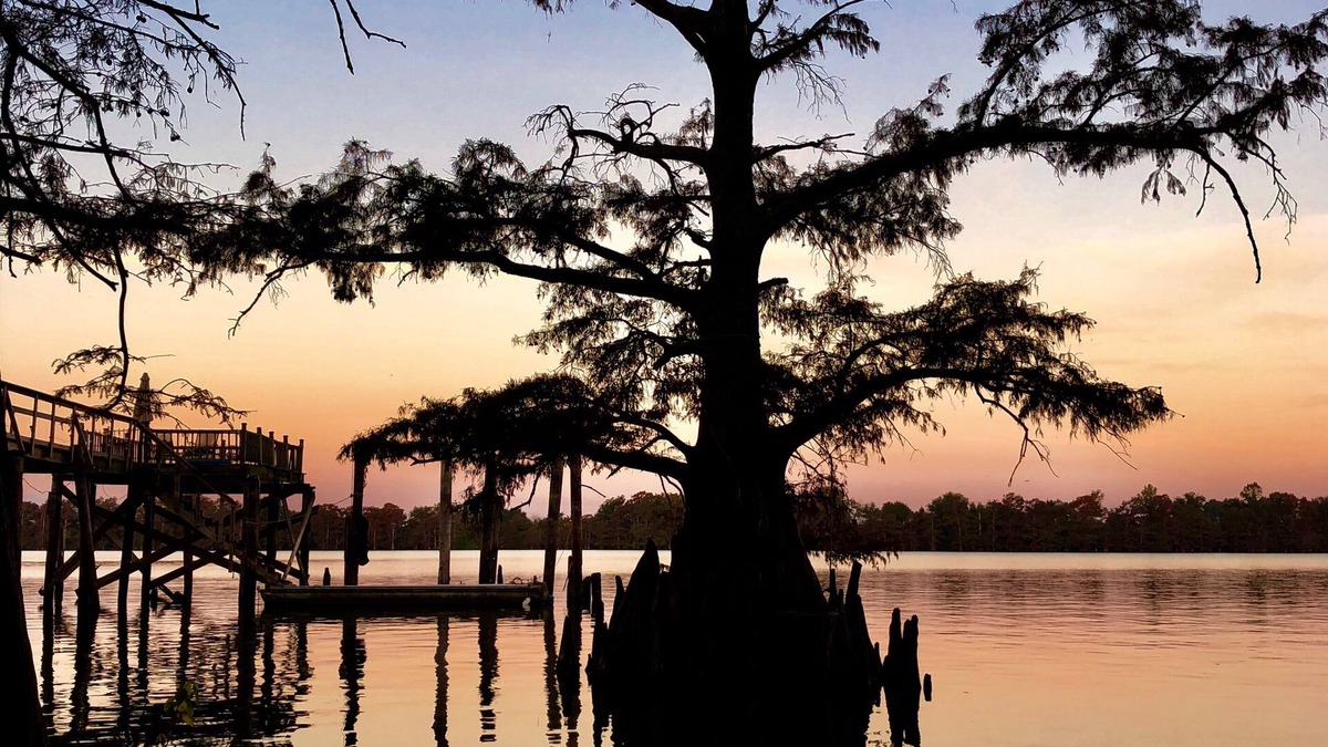 Dundee House | 🌙 ✨Moon Lake Getaway located directly over lake w amazing views from every room!