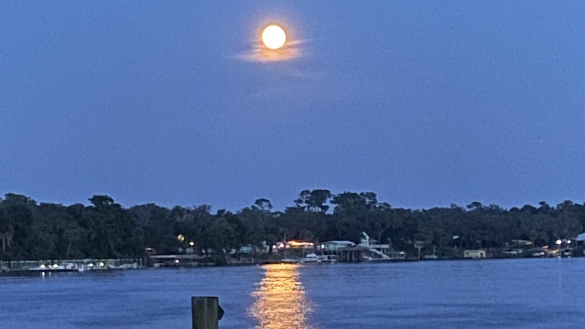 Welaka House | Moonlite Retreat- Waterfront home in Welaka, Florida