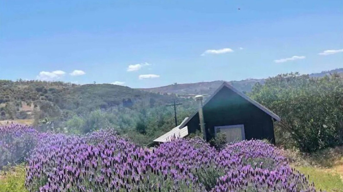Valley Center Cottage | Moonrise Cottage at Buena Terra Lavender Farm