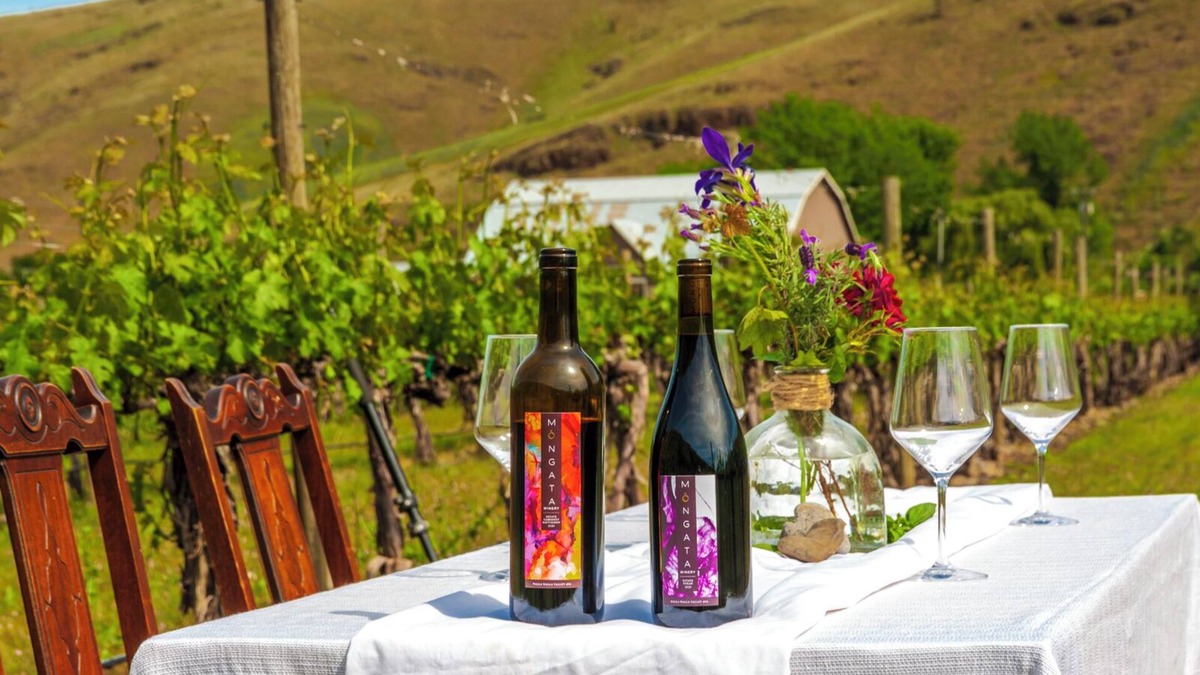 Milton-Freewater House | Moonrise Suite in a Vineyard + Winery!