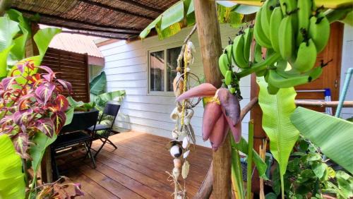 Hauru Apartment | MOOREA - Studio Natura