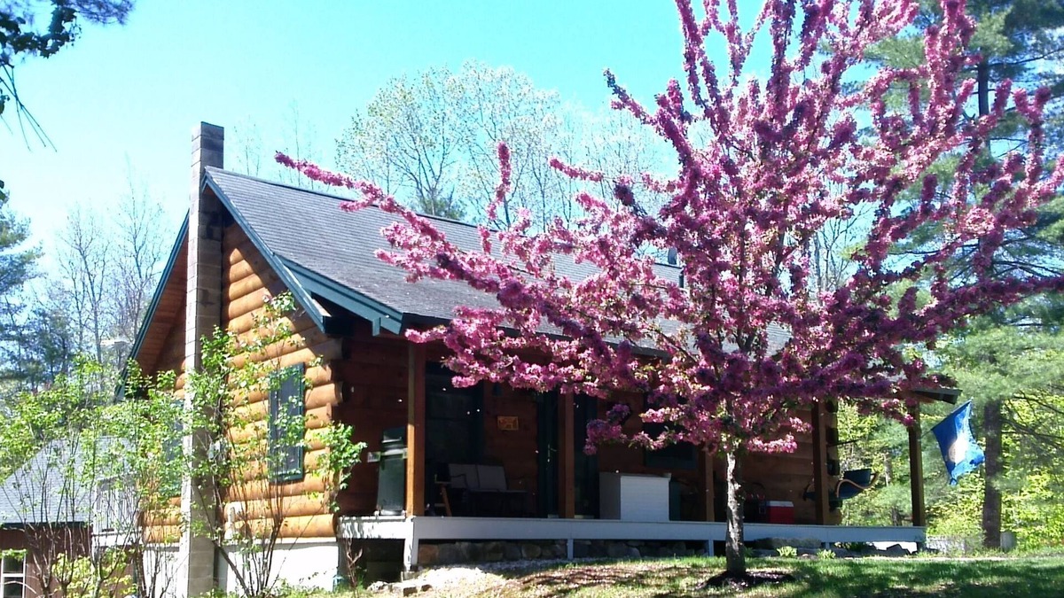 Effingham House | MOOSE LODGE Beautiful log cabin near Ossipee Lake