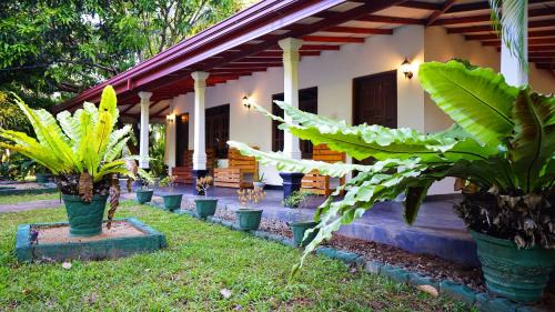 Sigiriya Bed & Breakfast | Mordor Nights