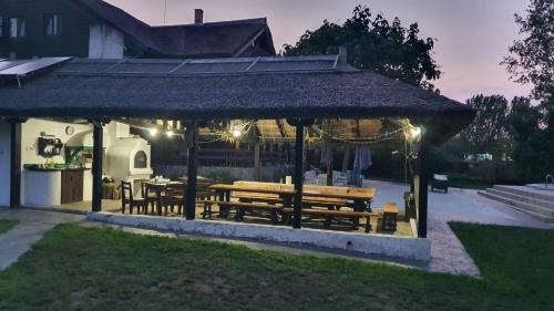 Murighiol House | Morena Mansion