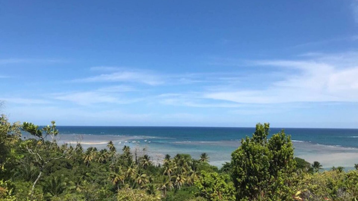 Ilha de Boipeba House | Moreré Viewpoint - Charming House