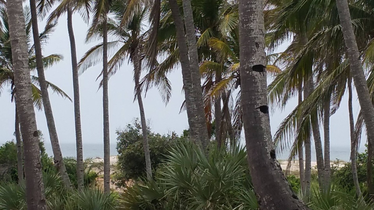 Morrumbene House | Morrumbene Beach Resort