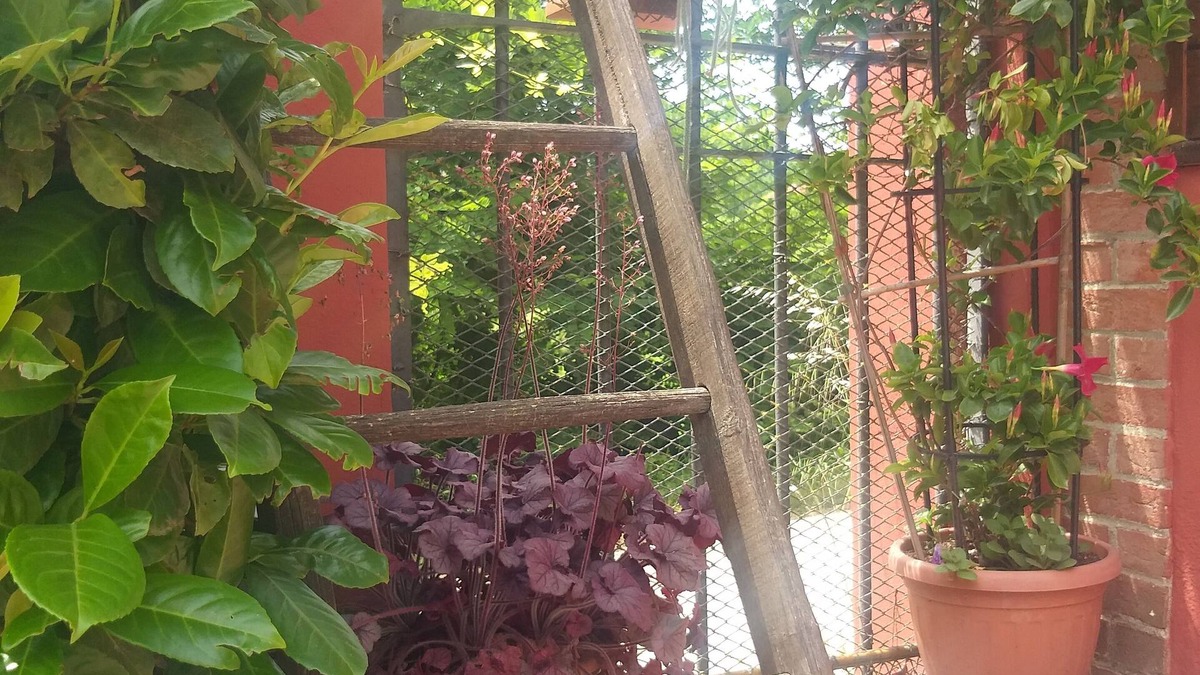 San Damiano dʼAsti Bed & Breakfast | Mosci's Bed & Beer - Birreria con Bed & Breakfast