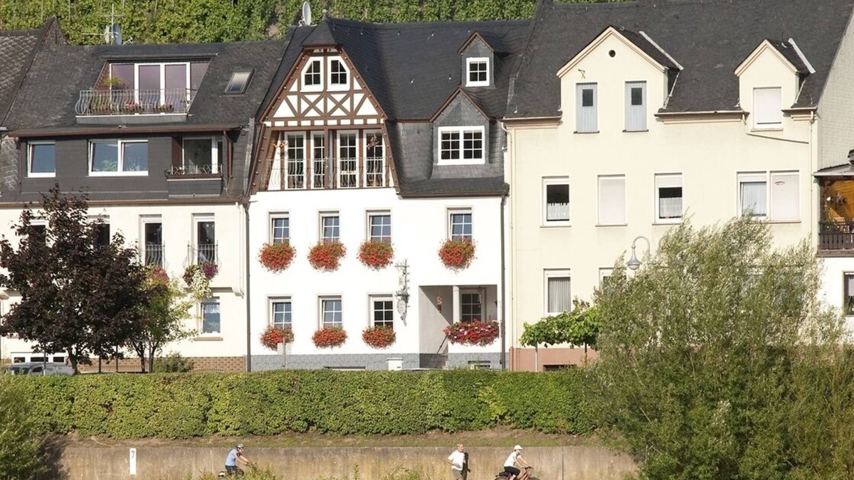 Zell Apartment | Mosel Loft with Vineyard Patio