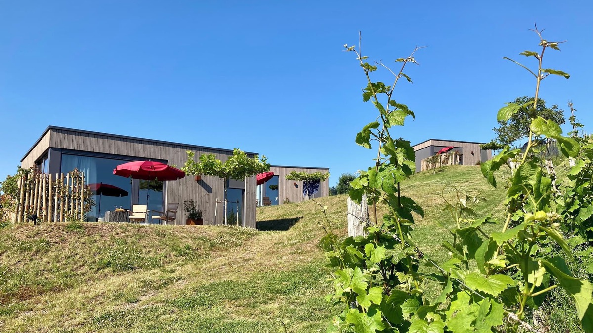 Kluesserath House | MoselHoch 2 is the middle of three vacation cottages on the edge of the vineyards.