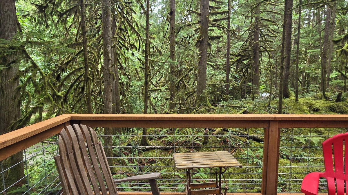 Marblemount Cabin | Moss Top Cabin: cozy off-grid retreat