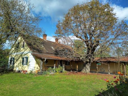 Halbenrain House | Mosti`s Häuschen am See