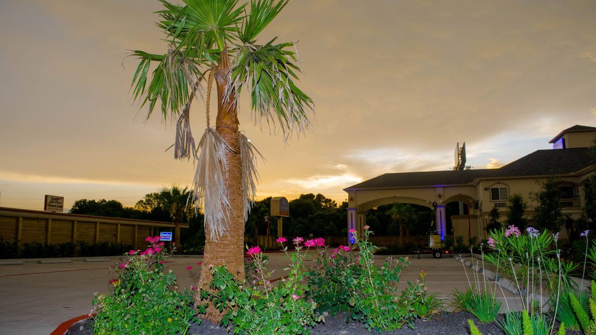 Willowbrook Hotel | Motel 6 Houston, TX – Willowbrook Mall