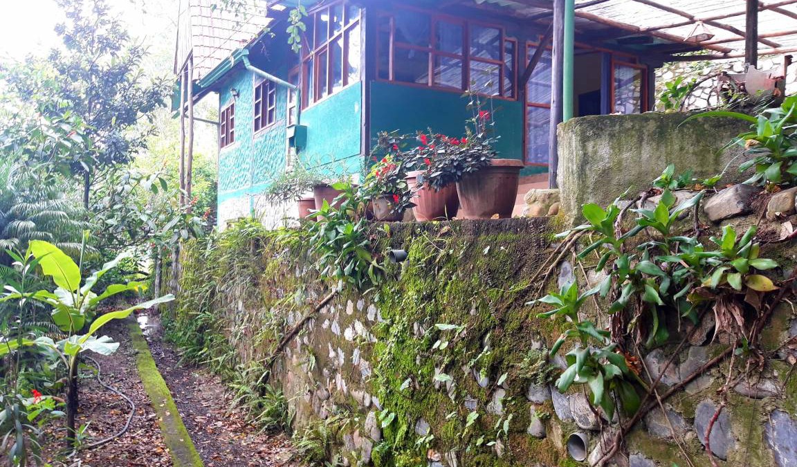 Vilcabamba House | Motel ∙ 8 guests