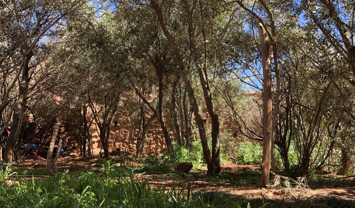 Ait Sedrate Jbel El Soufla House | Motel ∙ 8 guests