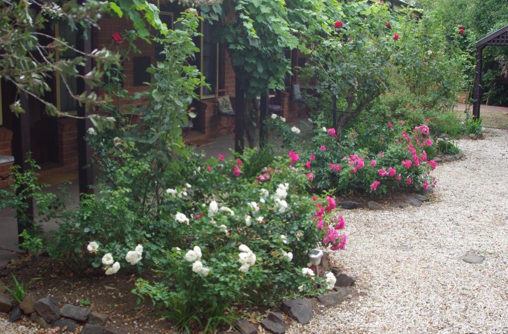 Maldon Hotel | Motel Maldon