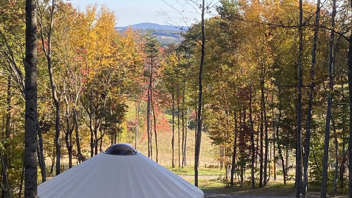 Piper Gap Apartment | Mother Earth, stargazing from the hot tub, Mountain Views, outdoorsman paradise