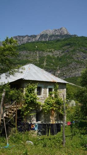 Kukes County House | Motina River Guesthouse