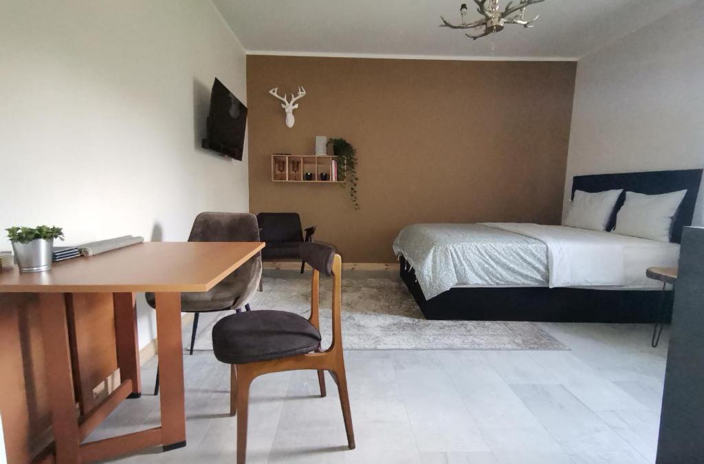 Bytom Apartment | Motyl Apartamenty Studio lub pokój z łazienką