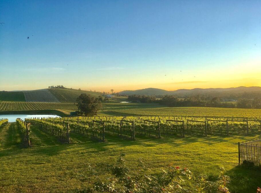 Dixons Creek Apartment | Mount Hope Estate Vineyard